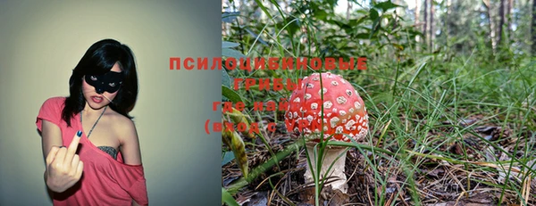 spice Протвино
