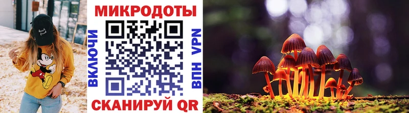 Псилоцибиновые грибы мицелий Сибай