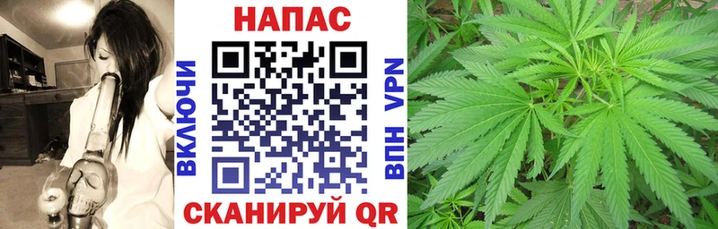 МАРИХУАНА планчик  Сибай 